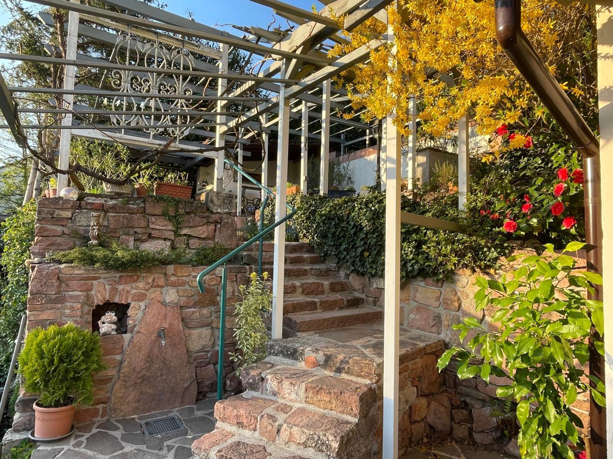 Am Berggarten Heidelberg Exterior photo